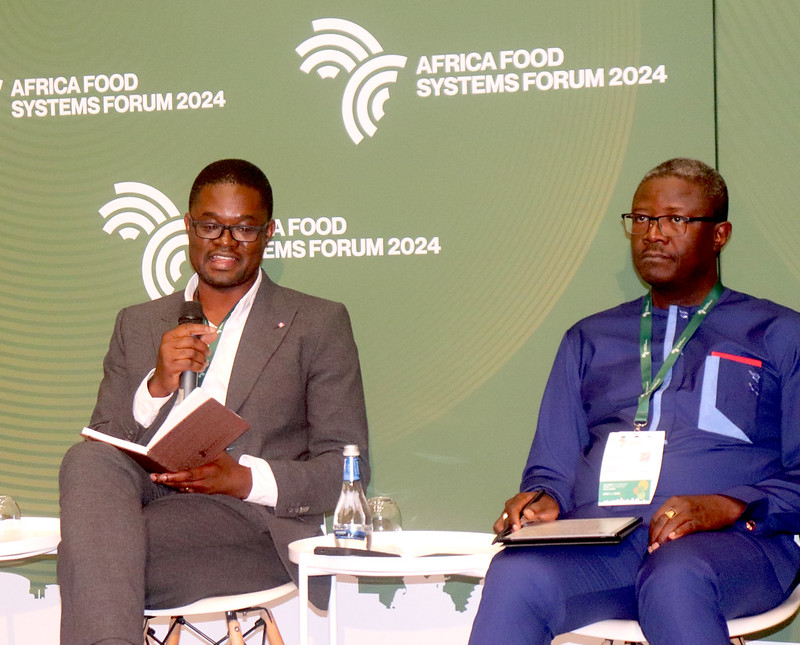 53967021734 9e0fd5e6ed C