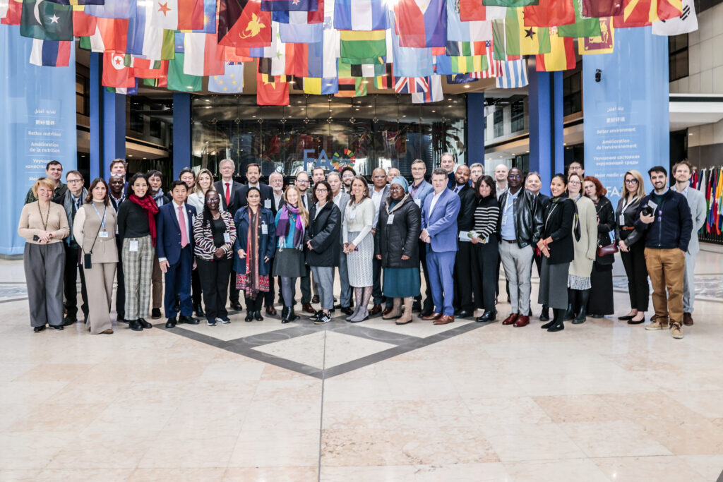 Uf199rf 12394a 69a0421 1024x683